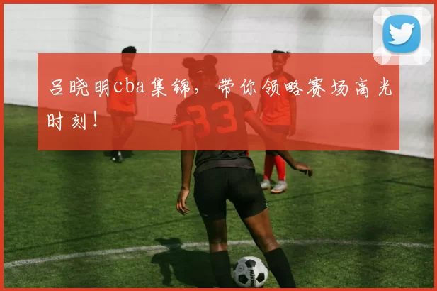 吕晓明cba集锦,带你领略赛场高光时刻!